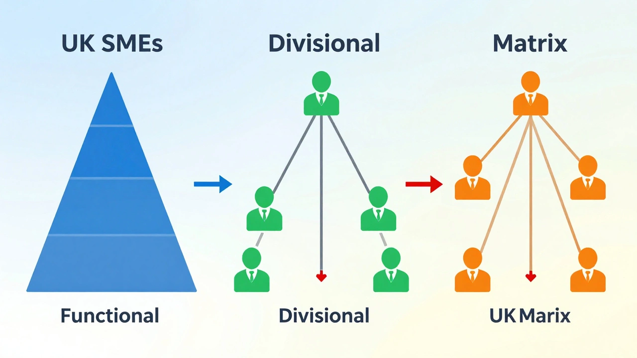 Three simplified organisational structures — functional, divisional, matrix — illustrated with icons and color-coded flows.