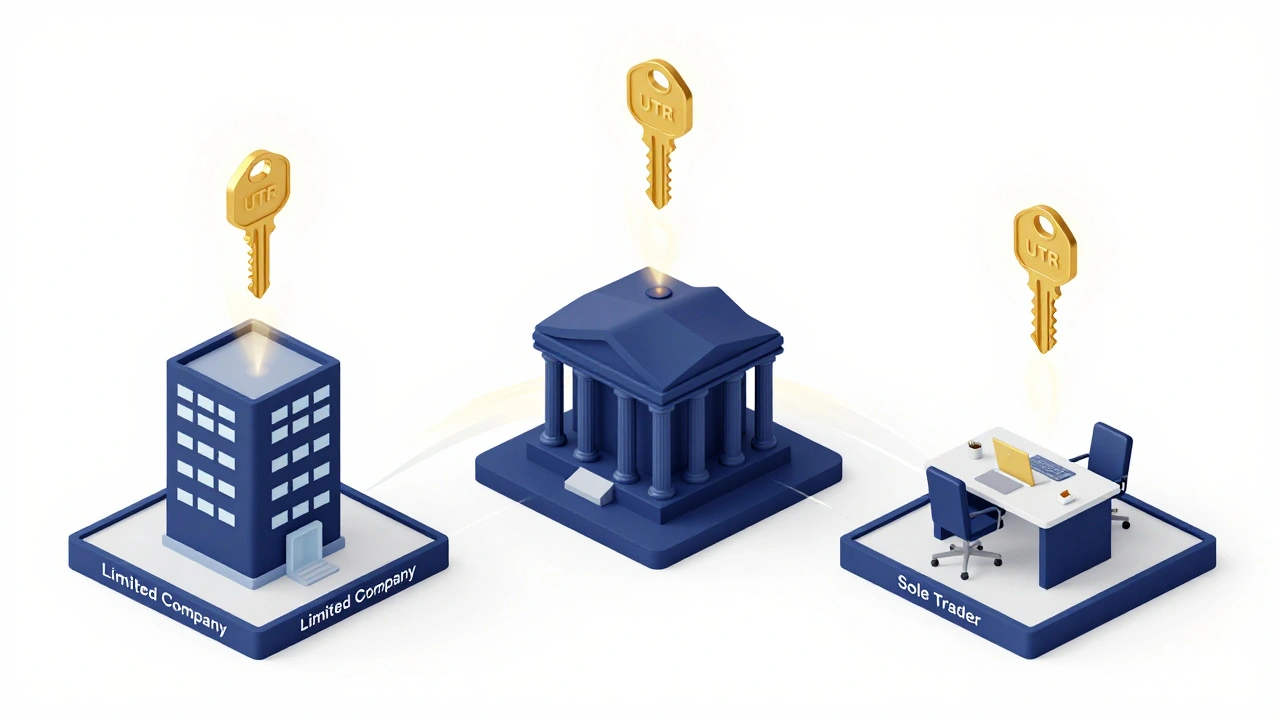 Isometric 3D illustration of limited companies and sole traders connected to tax authority